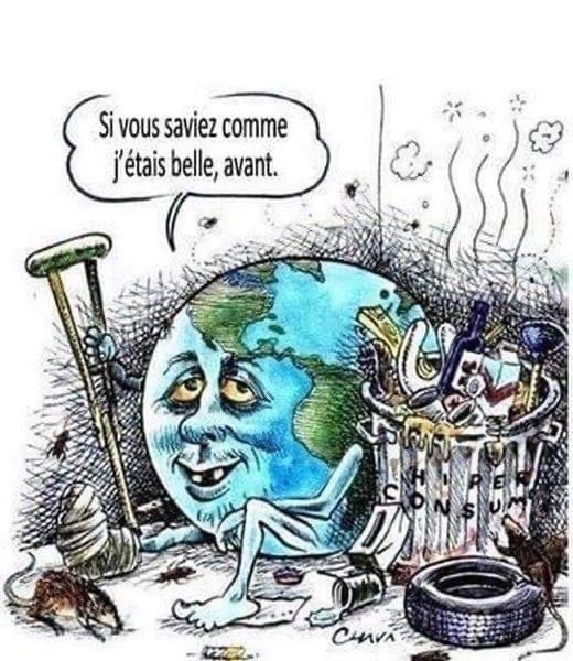 L’attribut alt de cette image est vide, son nom de fichier est IMG_8463.jpg.
